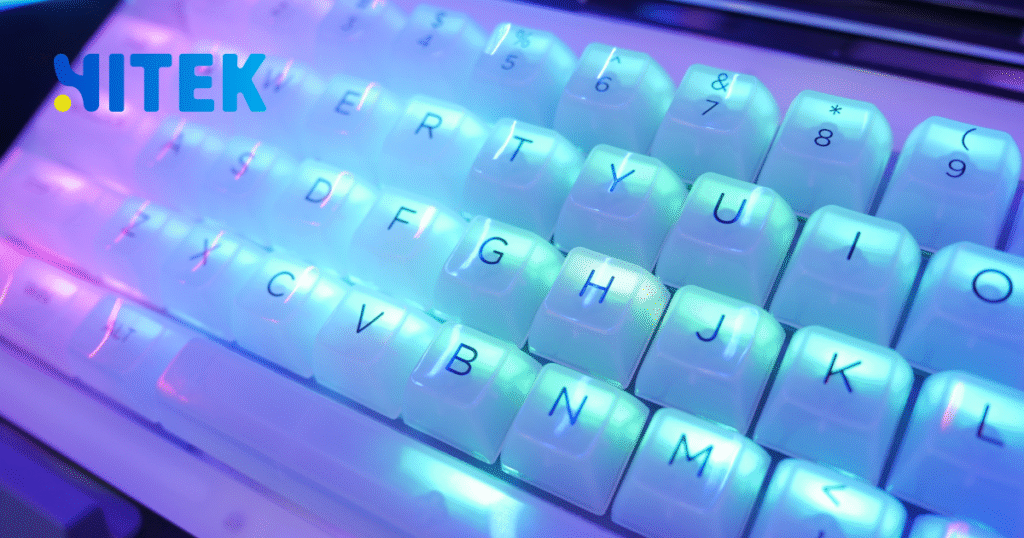 Harness and Spinnaker